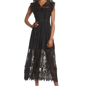 Foxiedox Florence Lace Maxi Dress Swiss Dot Sheer Whimsygoth Dark Fairy Fits Med